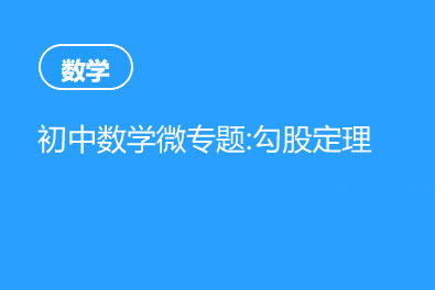初中数学微专题视频课程：勾股定理